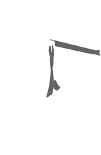 Pilates